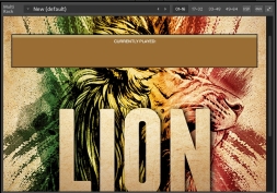 雷鬼风格素材 Lion Reggae Productions KONTAKT