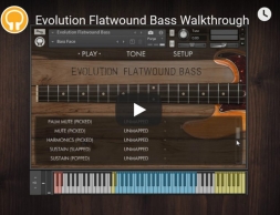 Orange Tree Samples Evolution Flatwound Bass复古电贝司