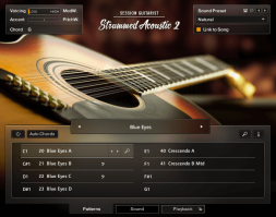 Session Guitarist - Strummed Acoustic Library精品扫弦吉他