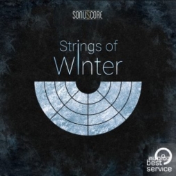 Best Service TO – Strings of Winter KONTAKT冬季弦乐