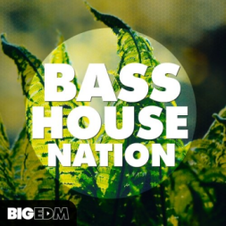 House 素材Big EDM Bass House Nation WAV MiDi XFER RECORDS SERUM-DISCOVER