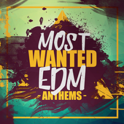 EDM素材Elevated EDM Most Wanted EDM Anthems WAV MiDi