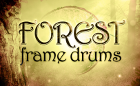 （手鼓）Impact.Soundworks.Forest.Frame.Drums.KONTAKT-DISCOVER