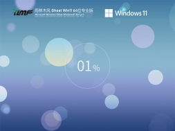 雨林木风 Win11 64位全新系统下载