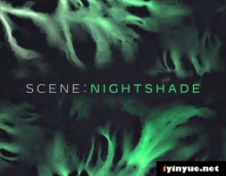 Native Instruments - Scene Nightshade 1.1 完整版 + 更新 （KONTAKT） - cinema kon