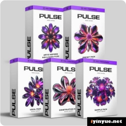 Odd Frequency - PULSE（独立舞曲）MIDI，SERUM 2，WAV-House 采样，Serum 2的预设