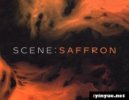 Native Instruments - Scene Saffron 1.2 完整版 + 更新 （KONTAKT） - cinema kontak