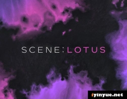 Native Instruments - Scene Lotus 1.1 完整版 + 更新 （KONTAKT） - cinema kontakt